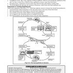BIOLOGY 12