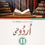 URDU 11